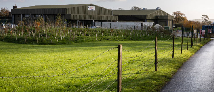 BV Dairy