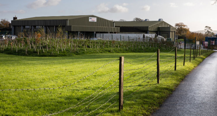 BV Dairy